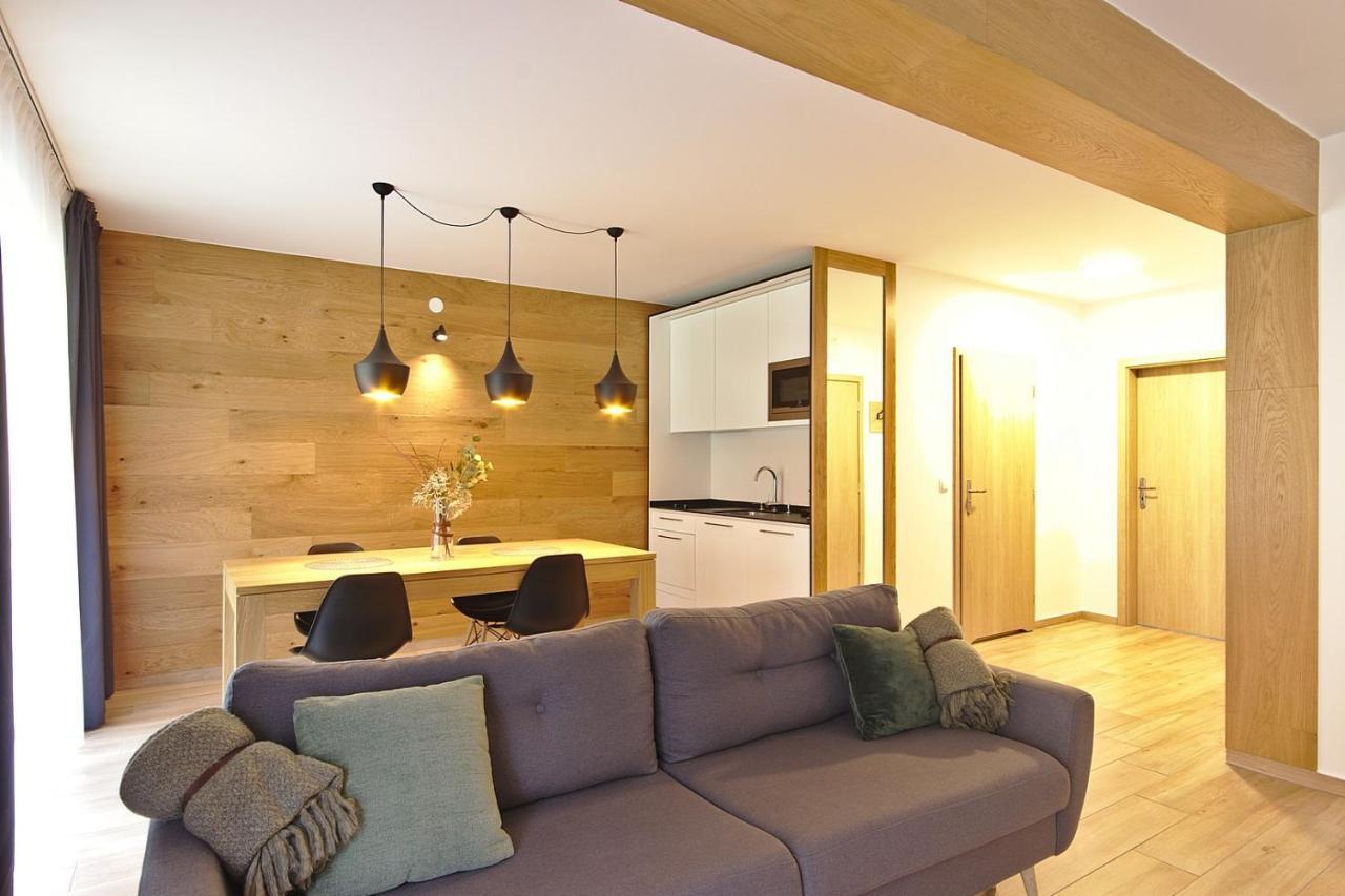 One-Bedroom Comfort Apartment Fireplace air conditioning
