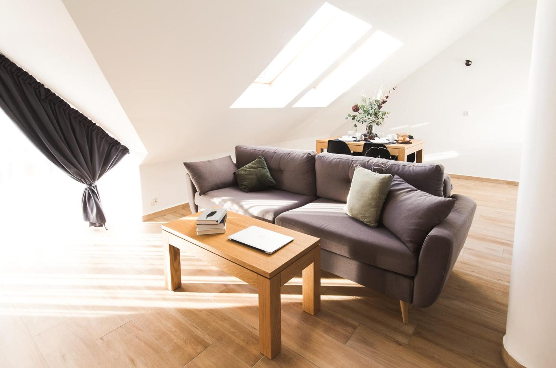 One-Bedroom Comfort Apartment Fireplace air conditioning the Attic