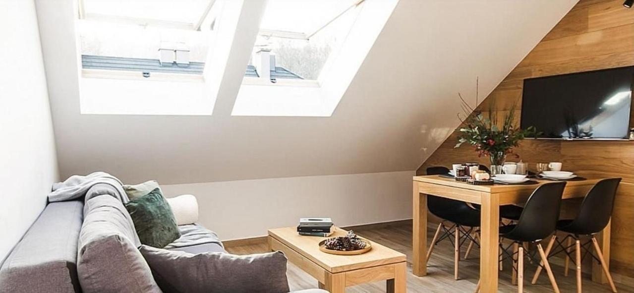 One-Bedroom Classic Apartment air conditioning the Attic