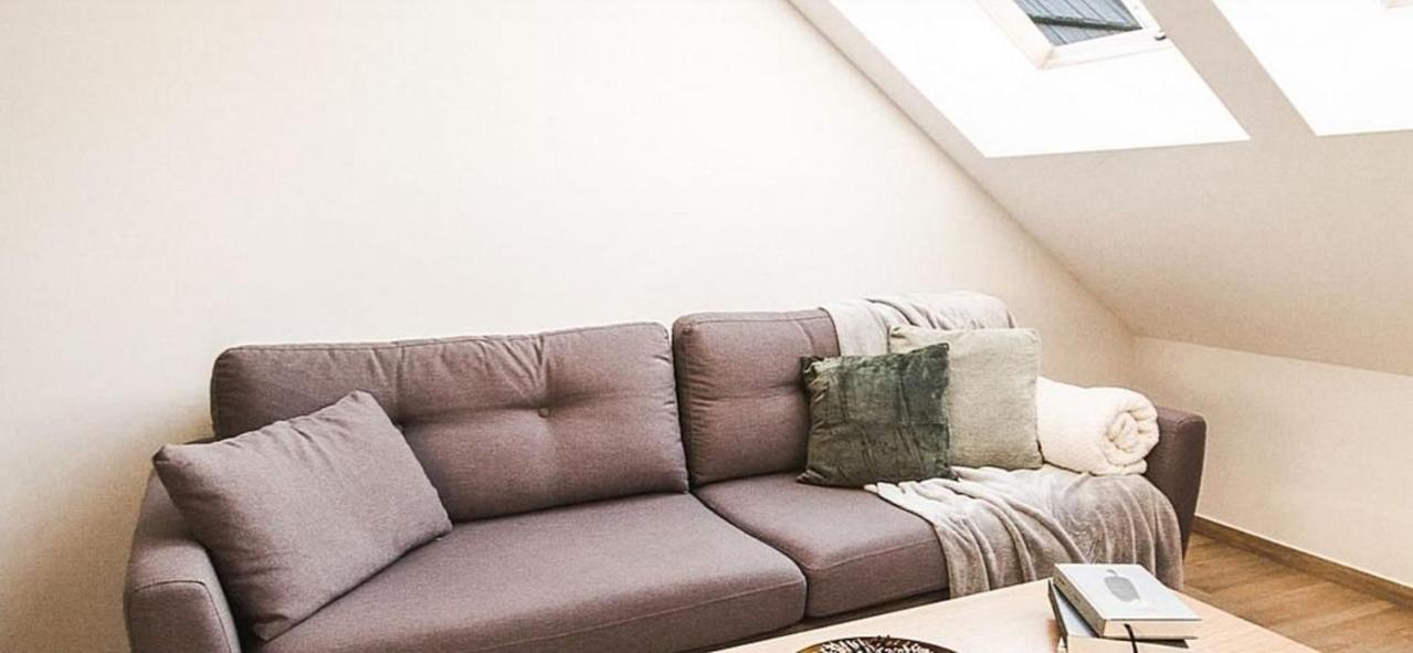 One-Bedroom Classic Apartment air conditioning the Attic