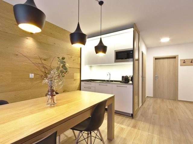 One-Bedroom Comfort Apartment Fireplace air conditioning