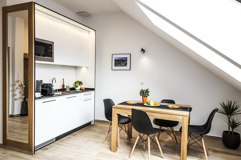One-Bedroom Comfort Apartment Fireplace air conditioning the Attic