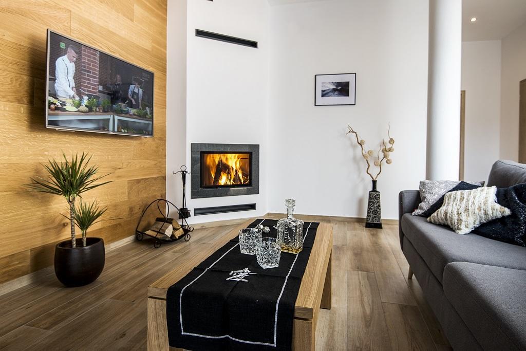 One-Bedroom Comfort Apartment Fireplace air conditioning the Attic